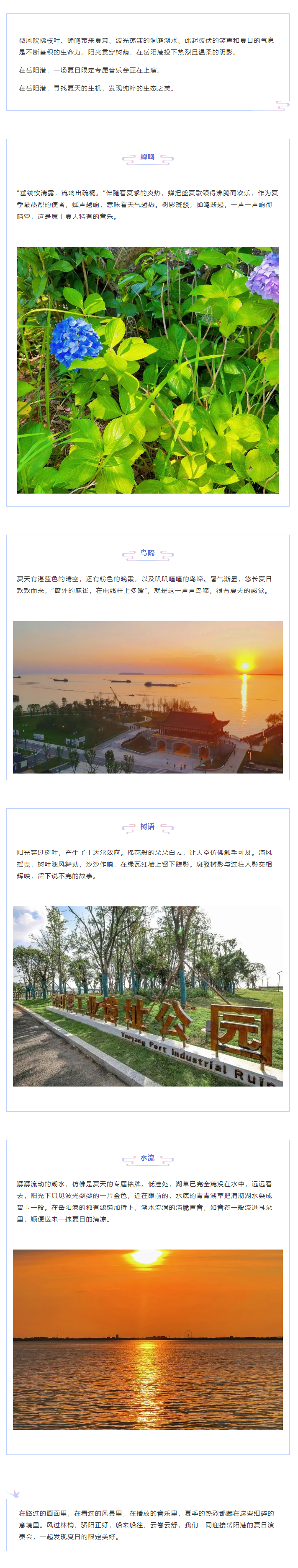 【夏日演奏會(huì)】在岳陽(yáng)港，聆聽夏天的聲音.png