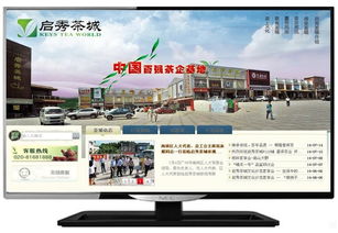 松江企業數字化轉型 一站式網站建設、維護與托管解決方案