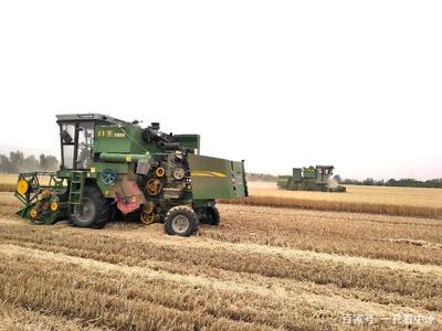 昔日生活苦，今天美滋滋——記襄城縣范湖鄉(xiāng)凹郭村王清坤的農(nóng)機(jī)租賃致富路