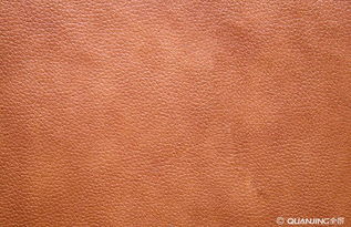 皮革 穿越千年的藝術(shù)與實(shí)用材料