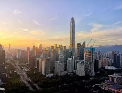 歌聲中的深圳 慶祝改革開放40周年，盤點40首“深圳之歌”（第三輯·社會經濟咨詢服務篇）